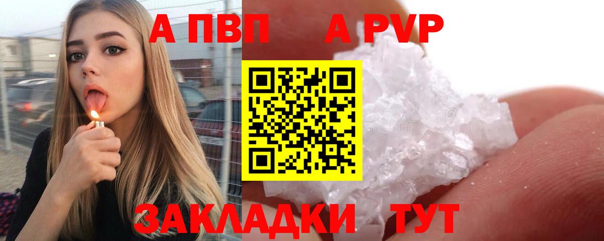 Alfa_PVP СК КРИС Ставрополь