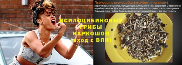 спиды Алексеевка