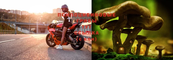 спиды Алексеевка