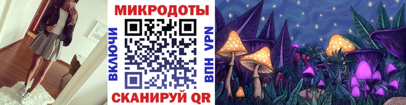 Галлюциногенные грибы GOLDEN TEACHER  кракен tor  Ставрополь 