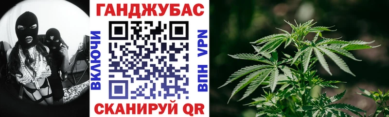 Бошки марихуана MAZAR где купить наркоту Ставрополь